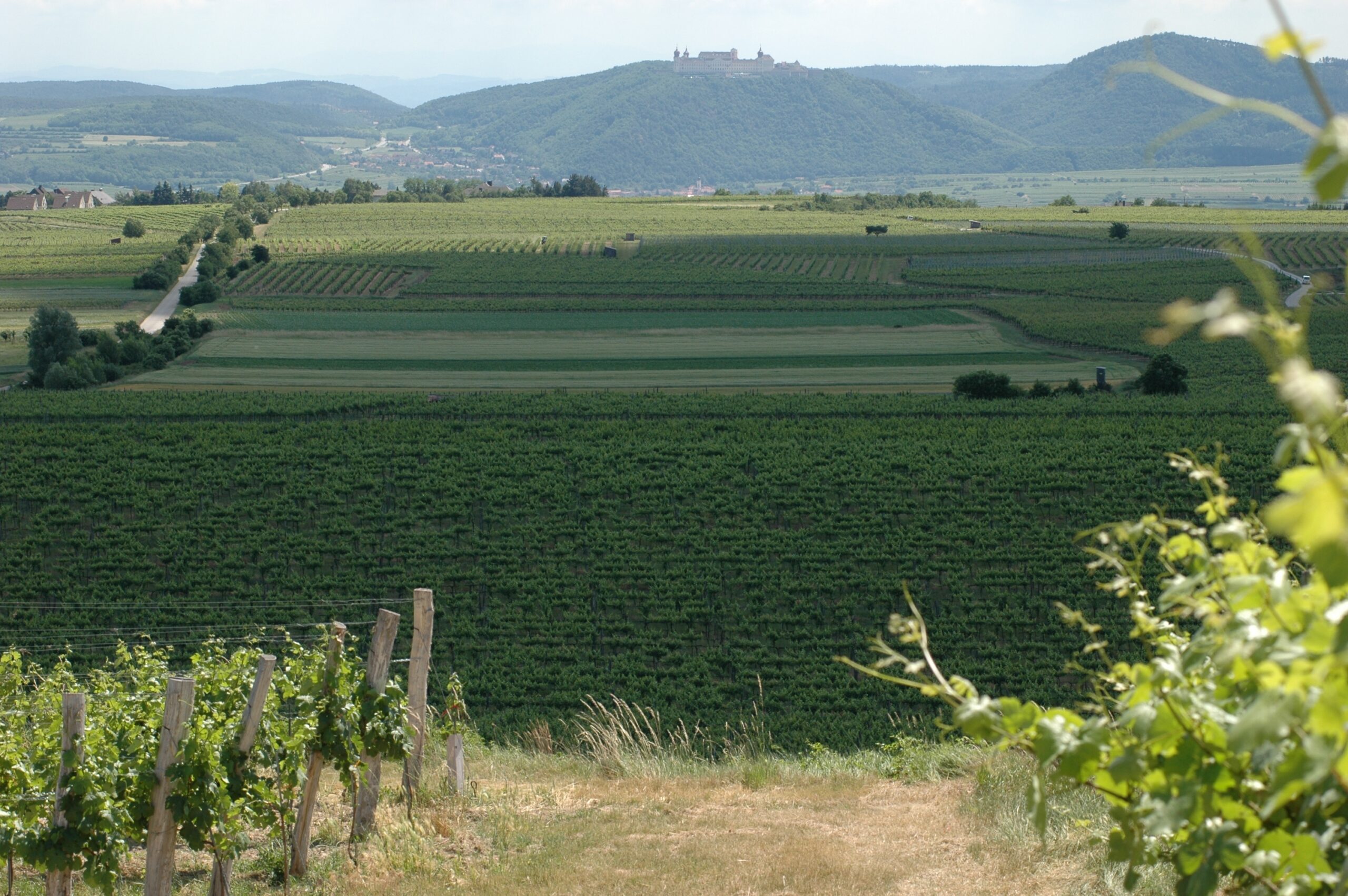 Weingut Hagen