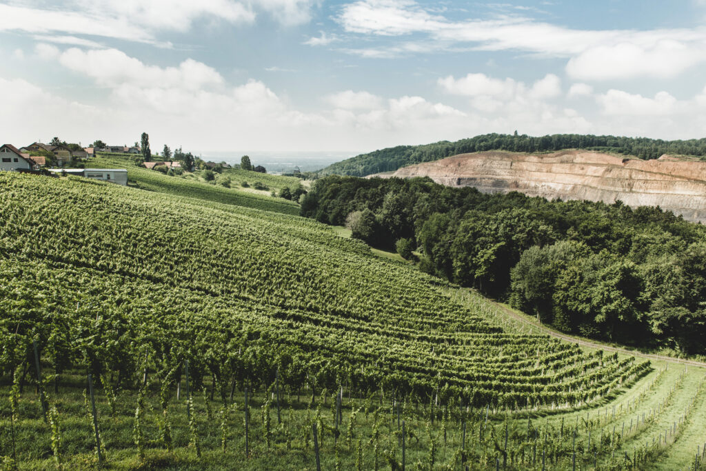 Weingut Familie Müller
