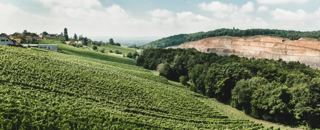mueller-weingut-oesterreich Müller Weingut in Österreich